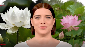Un vârf de…Lotus