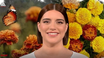 Un vârf de…Crăiță