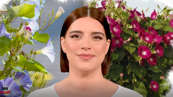 Un vârf de…Zorele