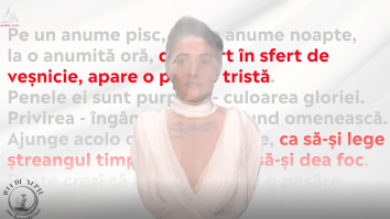 1001 de nopți. Drama lumii