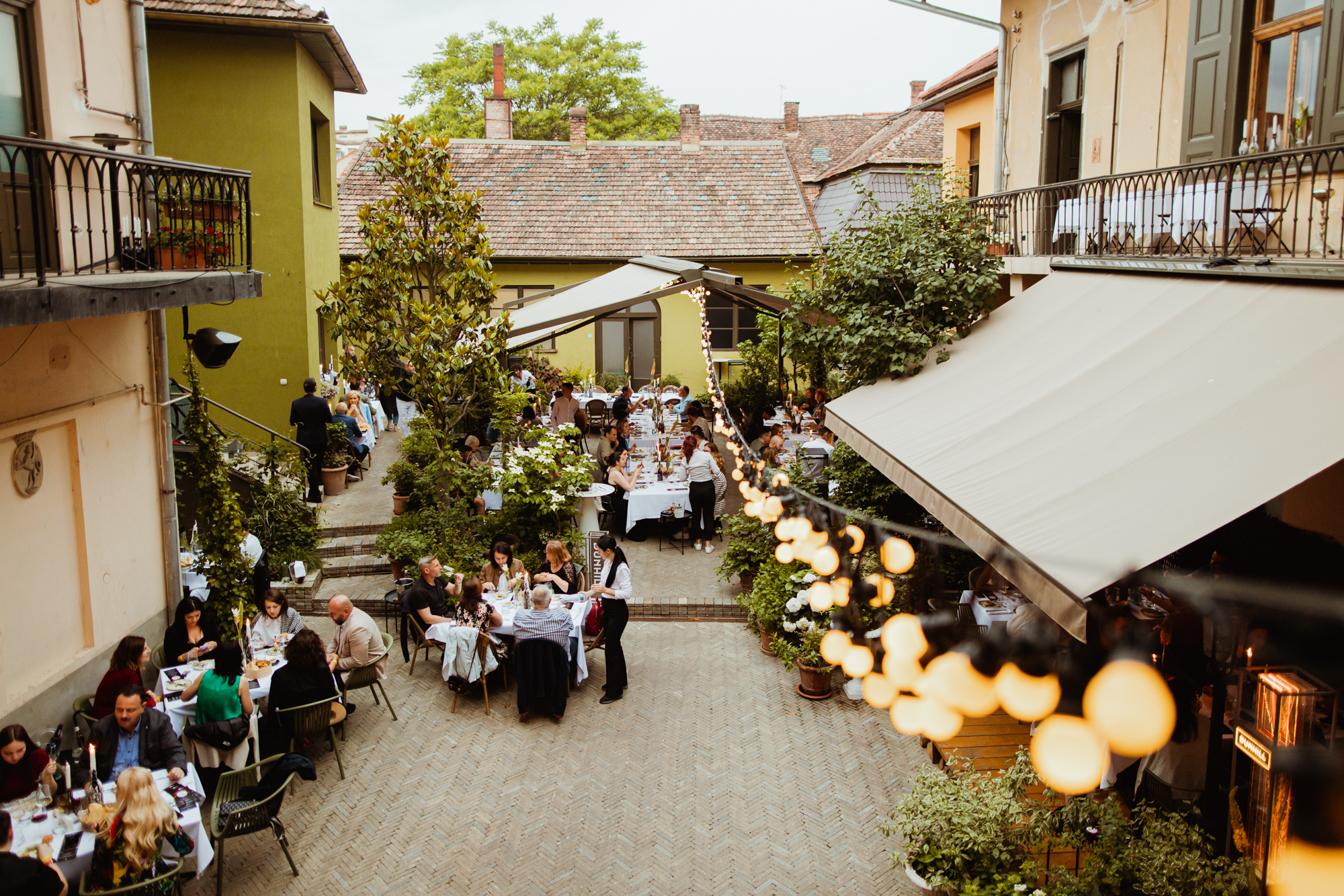 TIFF 2024 te așteaptă la Cluj-Napoca, în acest weekend. Spectatorii vor avea ocazia să descopere secțiunea specială, Film Food