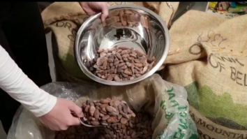O echipă de cercetători elvețieni a creat o ciocolată sustenabilă din fructul de cacao. Ce beneficii aduce noul sortiment