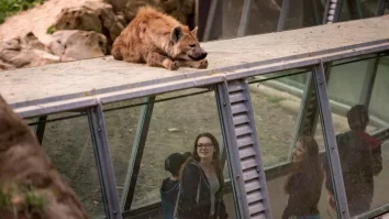 Trei lupi dintr-o grădină zoologică de lângă Paris au atacat o vizitatoare. Femeia se luptă pentru viața ei