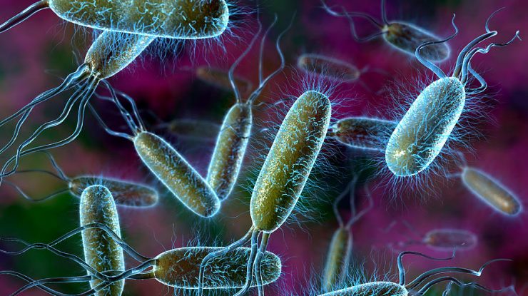 O persoană a murit în urma epidemiei de E.coli, în timp ce numărul cazurilor crește la 275. Cum să te ferești de bacterie