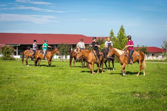 La ce activități îți duci copilul vara aceasta? Președinte BateȘaua: „Atunci când mergi călare pe bicicletă sau pe cal, simți aerul, auzi gălăgia, descoperi peisajele și tradiția”