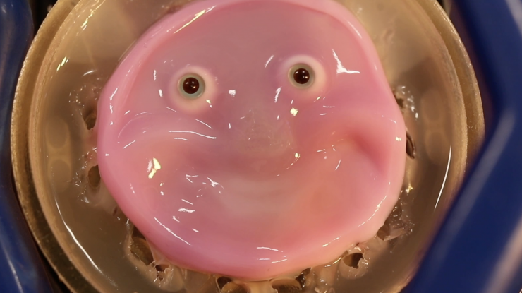 FOTO. Cum arată robotul cu fața făcută din piele de om? Cercetătorii au descoperit o nouă modalitate de a lega țesutul de suprafața mecanică