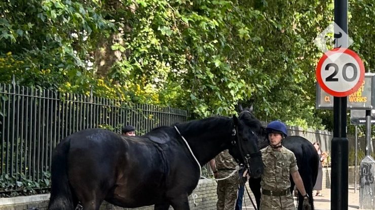 VIDEO. Trei cai militari au galopat liberi prin centrul Londrei, după ce au fost scăpați din frâie
