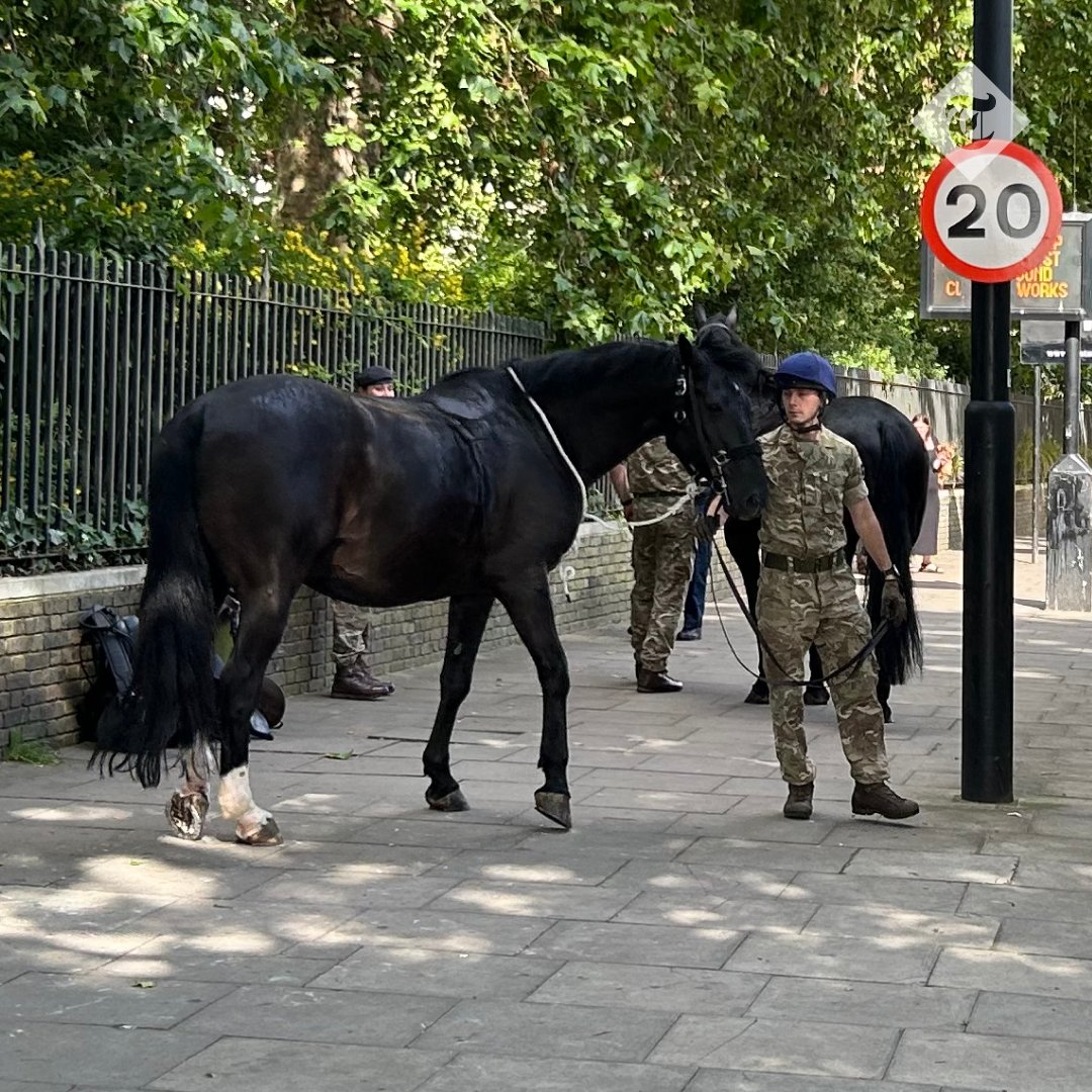 VIDEO. Trei cai militari au galopat liberi prin centrul Londrei, după ce au fost scăpați din frâie