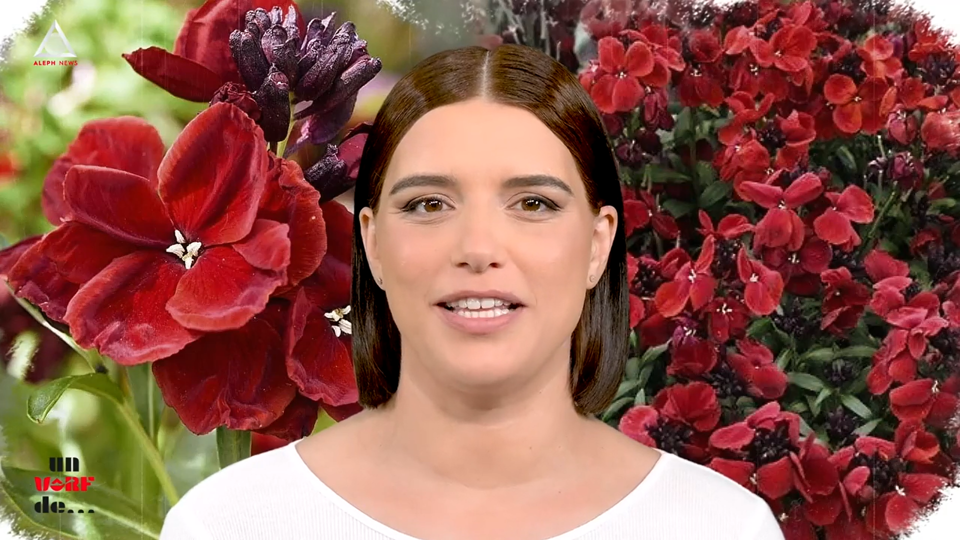 Un vârf de…Micșunea