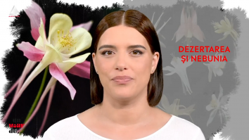 Un vârf de…Căldărușe