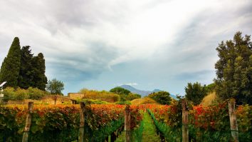 România ocupă locul 13 mondial la producția de vin. Care este regiunea din țară care rivalizează cu Toscana