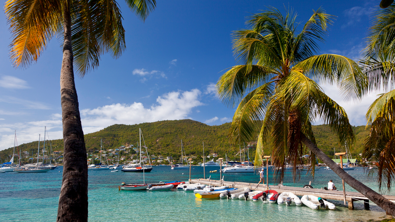 Unde mergi azi? În Caraibe. Care sunt cele mai frumoase plaje de pe insula Saint Vincent