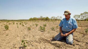 Fenomenele meteorologice afectează foarte tare agricultura. Fermier: „În această perioadă se pot preconiza scăderi de producție la porumb, din cauza caniculei”