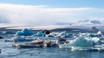 Cum protejezi planeta de încălzirea globală? Specialist în poziții de mediu: „Este de un efort pe care următoarele 20 de generații trebuie să îl depună pentru a ajunge la temperaturi suportabile”