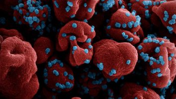 Există o creștere semnificativă a cazurilor de infecție cu SARS-CoV-2. Adrian Marinescu: „În ultimele 2-3 săptămâni, am observat o curbă ascendentă”