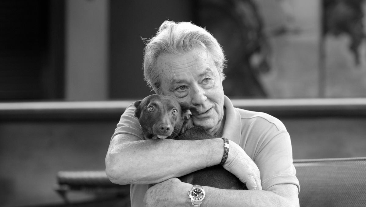 Familia lui Alain Delon respinge cererea acestuia de eutanasiere a câinelui său, Loubo. Actorul va fi înmormântat singur