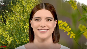 Un vârf de…Sulfină