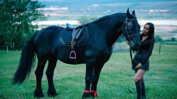 STUDIU. Caii sunt mai inteligenți decât ai crede. Ce au descoprit cercetătorii