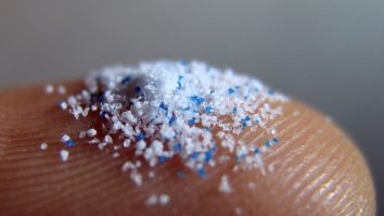 Microplasticele sunt un pericol invizibil. Cum poluarea afectează sănătatea