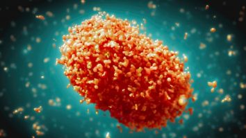 OMS declară „variola maimuței” urgență globală de sănătate, după o explozie a cazurilor în Africa. Cât de periculoasă este situația pentru Europa și restul lumii