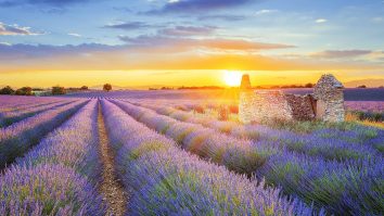 Provence se află în topul destinațiilor senzoriale. Care sunt cele mai lăudat locuri turistice