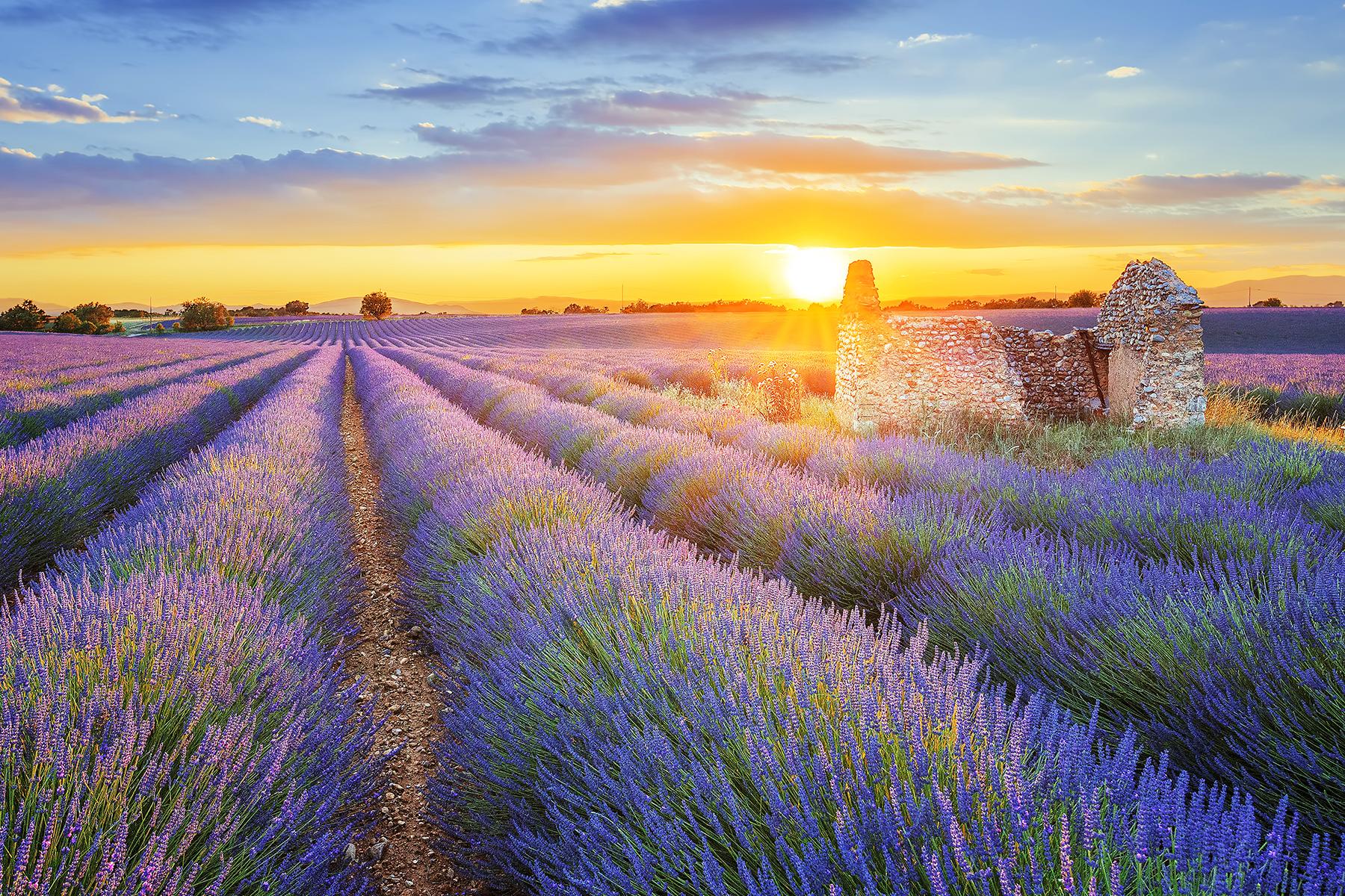 Provence se află în topul destinațiilor senzoriale