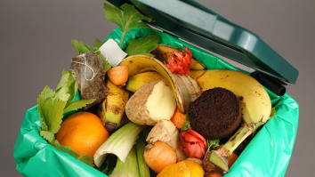 Un român aruncă până la 129 de kilograme de mâncare pe an. Cum poate fi combătută risipa alimentară