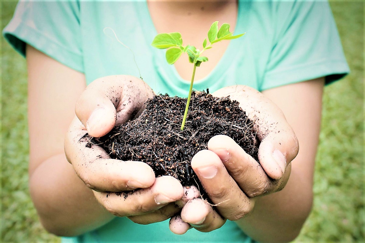 UNESCO lansează inițiative pentru a integra sustenabilitatea în Educație. 70% dintre tineri nu știu să explice noțiunea de „schimbări climatice”