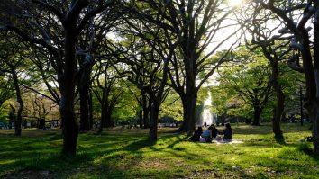 Un studiu arată că zonele rurale din jurul orașelor le pot scădea temperatura cu până la 4°C. La ce concluzie au ajuns cercetătorii