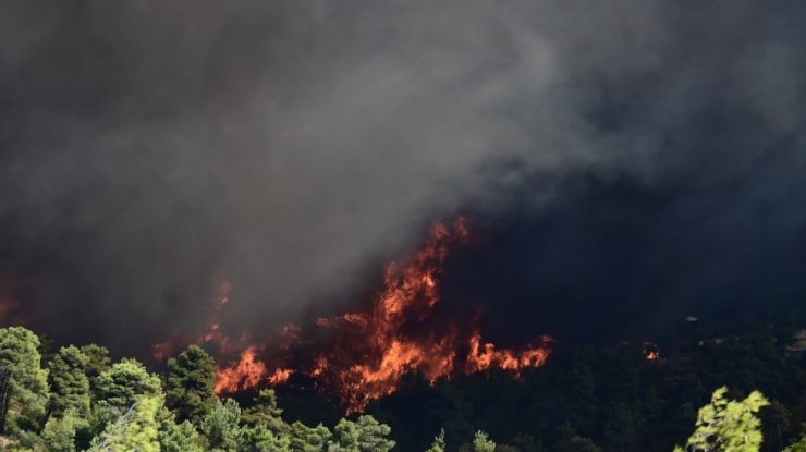 Au loc evacuări de urgență în Varnavas. Incendiile masive amenință locutorii din nordul Atenei