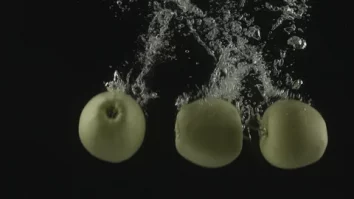 O distilerie inovatoare din Anglia produce gin din mere din copia copacului lui Newton. Cât costă un litru