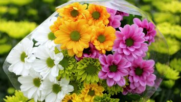 Aranjamentele florale sunt la mare căutare în această toamnă. Designer: „Printre elementele neobișnuite sunt vopsirea frunzelor sau a florilor”