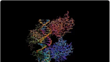 Care este secretul longevității? Cercetătorii au identificat OSER1, o proteină revoluționară care influențează procesul de îmbătrânire