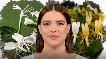 Un vârf de…Caprifoi