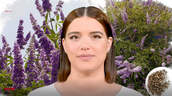 Un vârf de… Piperul Călugărului