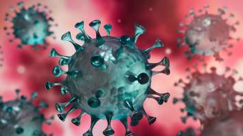 STUDIU. Pandemia COVID a îmbătrânit creierul adolescenților. Ce au descoperit cercetătorii