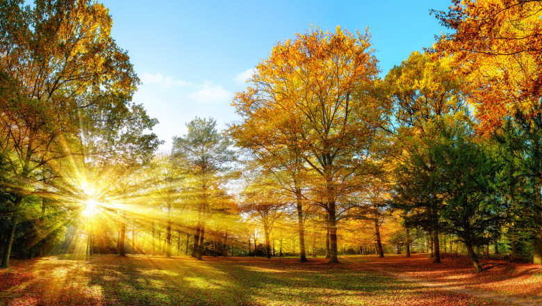 Ultima decadă a lunii septembrie va aduce momente cu soare și 25-29°C. Moldova intră sub cod galben de ploi la noapte și mâine