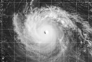 RO-ALERT ne-a speriat degeaba: Furtuna Ashley a fost „apă de ploaie”. Cât de pregătite sunt, totuși, autoritățile din România pentru urgențe?