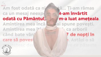 1001 de nopți. Nu aşa se judecă arta