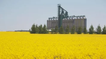 China ripostează la tarifele vamale impuse de Canada în cazul EV-urilor. Beijingul a demarat o anchetă privind importurile de canola