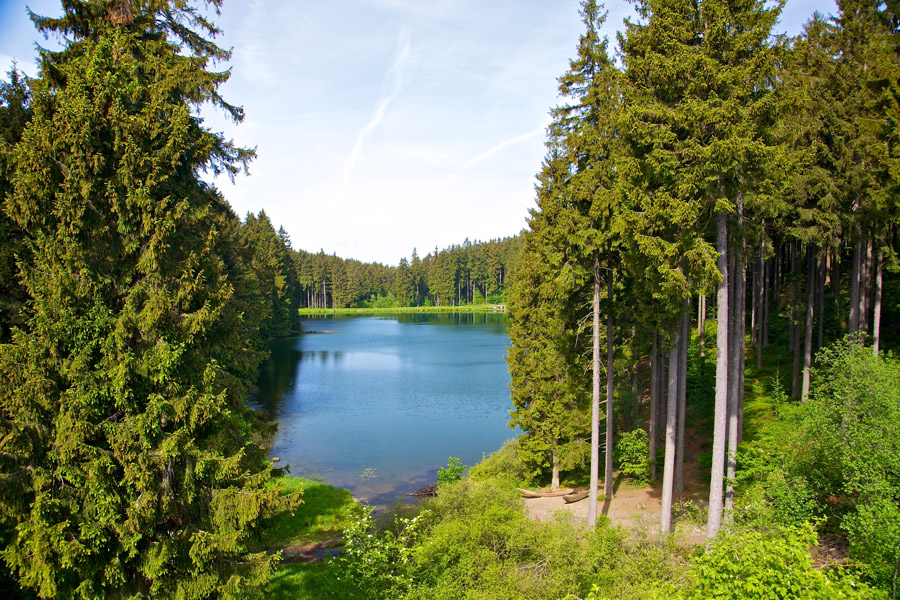 Unde pleci în drumeții în Europa? Drumul Vrăjitoarelor, care trece prin munții Harz, este un traseu spectaculos de aproximativ 100 km