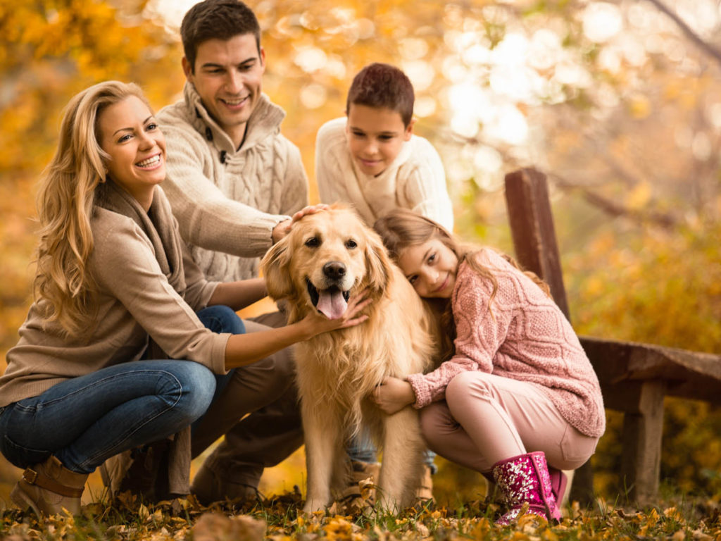 Tu ce animal de companie preferi? Persoanele cu mai mulți copii aleg cățeii