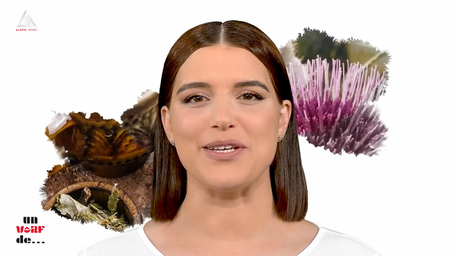 Un vârf de…Armurariu