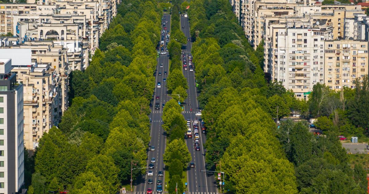 Bucureştenii pot verifica, cu ajutorul unei hărţi on-line, în ce măsură zona în care trăiesc respectă regula 3-30-300