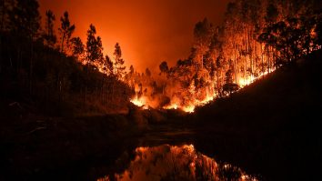 Planeta arde, emisiile de CO2 cresc. Incendiile din Portugalia au produs 1,9 milioane de tone de dioxid de carbon