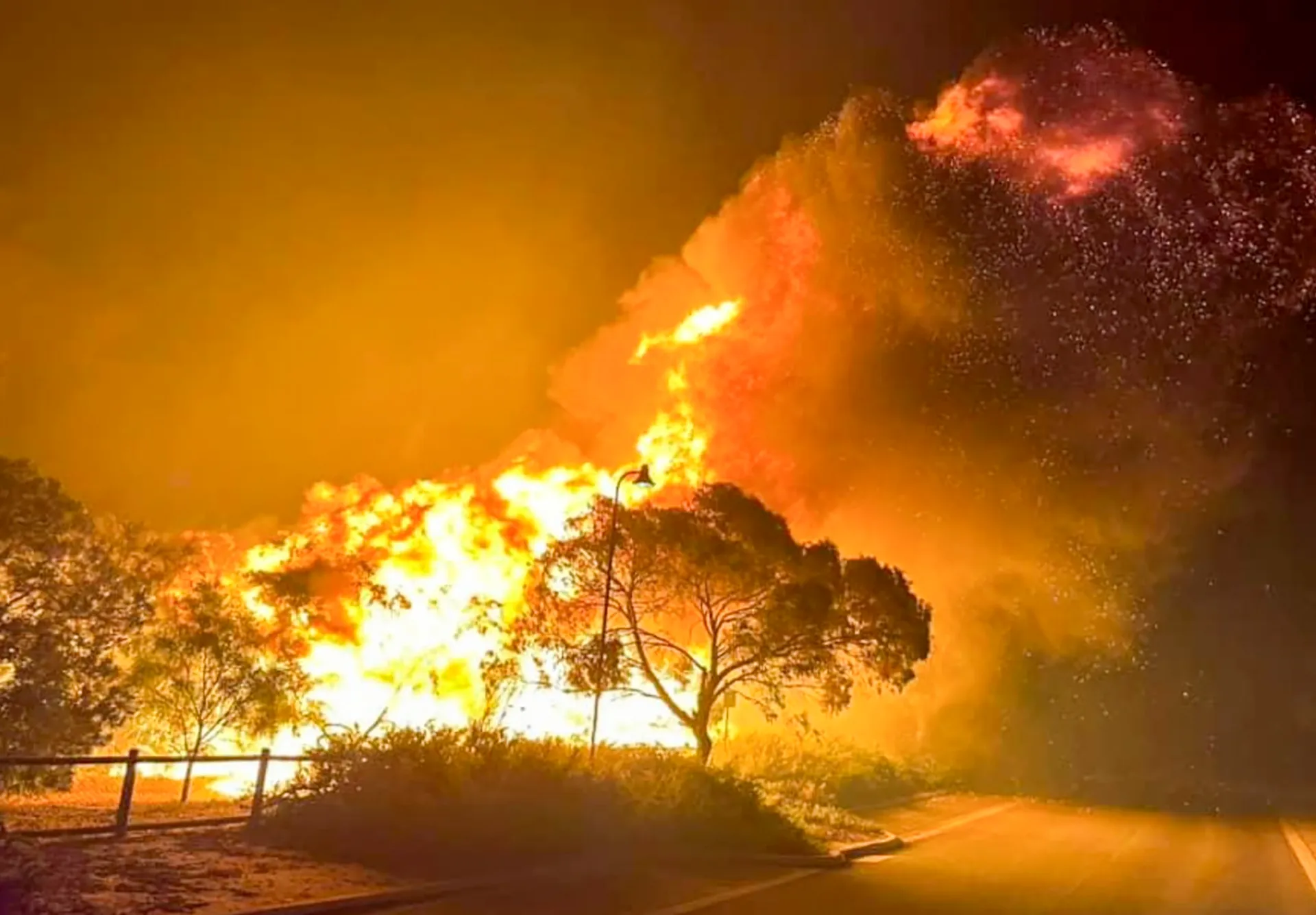 ONU: Creșterea temperaturilor din luna august ar trebui să declanșeze o „alertă roșie” la nivel mondial