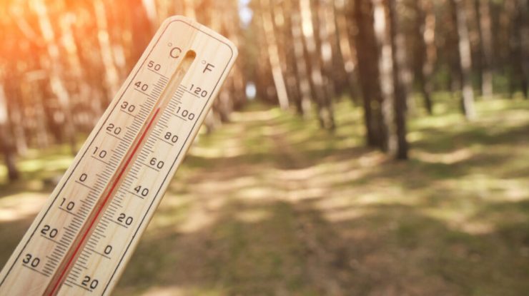 Prognoza ANM: Încă o săptămână cu temperaturi de 30 de grade. Cum va fi vremea în următoarele patru săptămâni