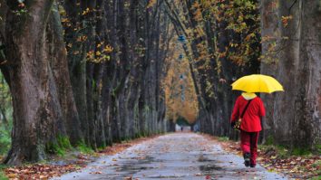 După o perioadă cu temperaturi de vară, toamna își intră în drepturi. De mâine, maximele scad cu 10°C