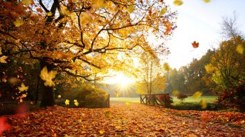 Condițiile meteo sunt ideale pentru drumeții în acest weekend. Ce temperaturi te așteaptă la final de săptămână