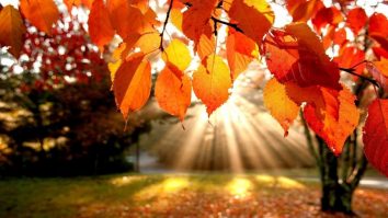 Cum e vremea în weekend? Soarele încălzește pe timpul zilei, dar diminețile și serile sunt friguroase